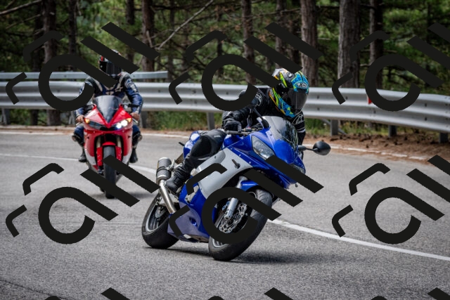 202508031133-DSC_3338_c2