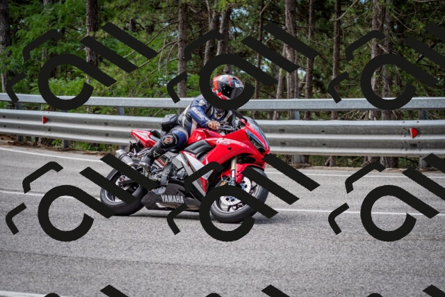 202508031133-DSC_3340_c2