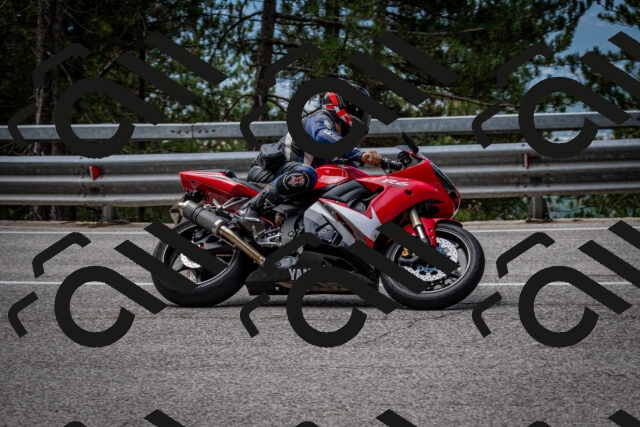 202508031133-DSC_3341_c2