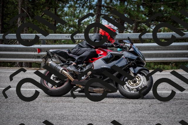 202508031133-DSC_3343_c2