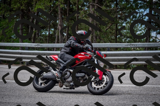 202508031133-DSC_3345_c2