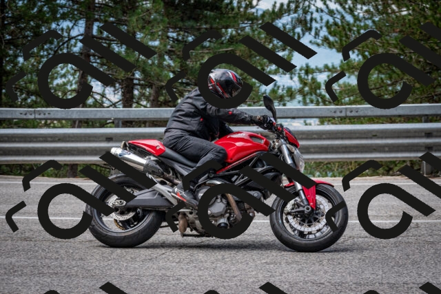 202508031133-DSC_3346_c2