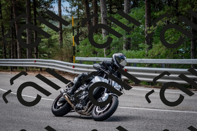 202508031133-DSC_3347_c2