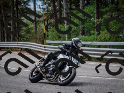 202508031133-DSC_3347_c2