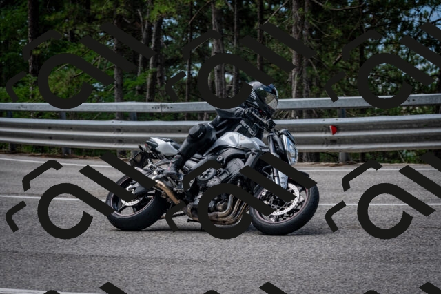 202508031133-DSC_3348_c2