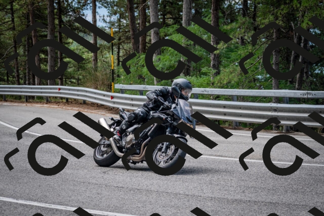 202508031133-DSC_3349_c2