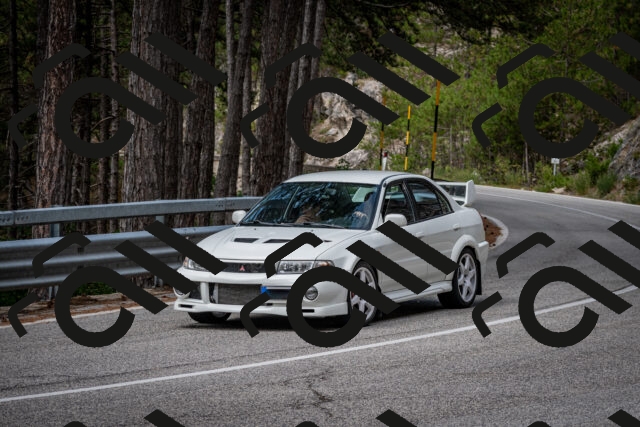 202508031133-DSC_3351_c2