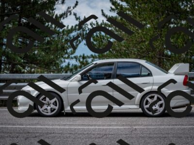 202508031133-DSC_3353_c2