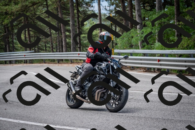 202508031134-DSC_3355_c2