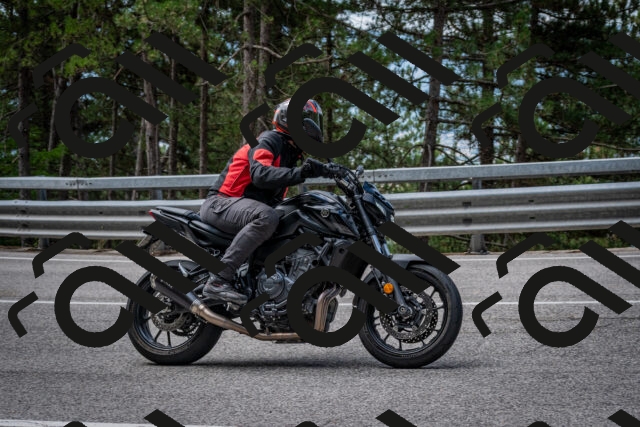 202508031134-DSC_3356_c2