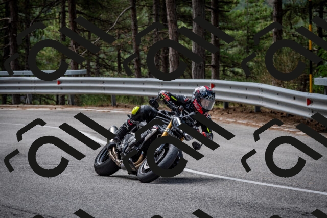 202508031134-DSC_3357_c2