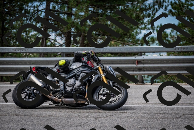 202508031134-DSC_3359_c2