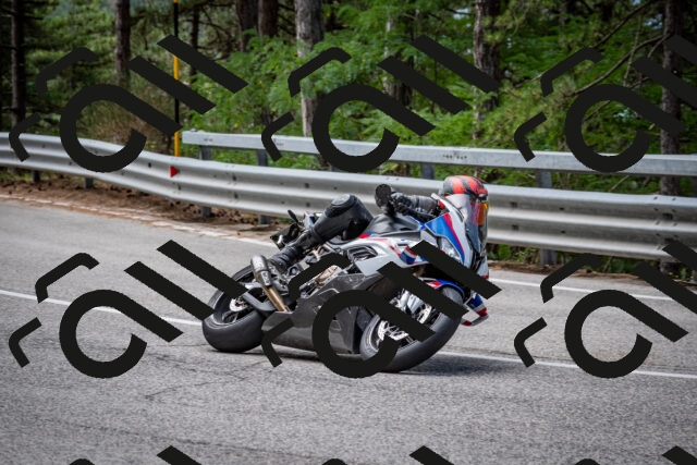 202508031134-DSC_3361_c2