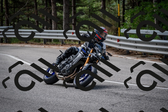 202508031134-DSC_3364_c2