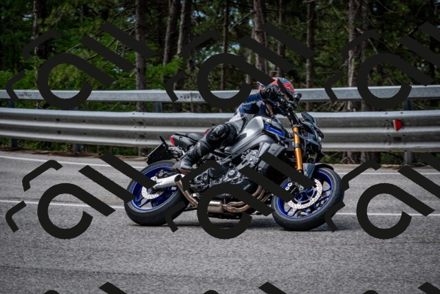 202508031134-DSC_3365_c2