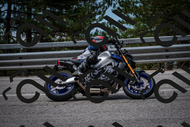 202508031134-DSC_3366_c2