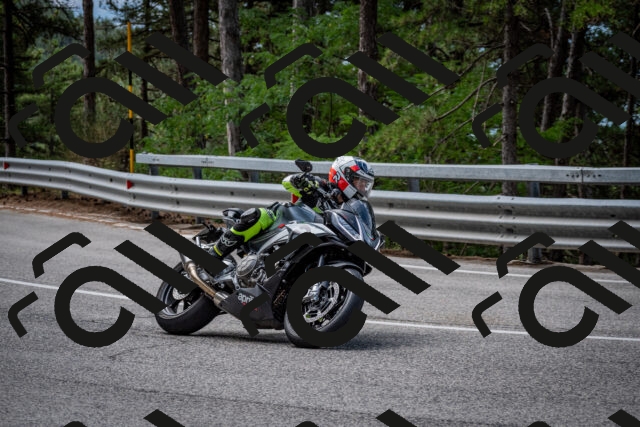 202508031135-DSC_3367_c2