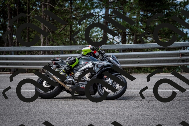 202508031135-DSC_3368_c2