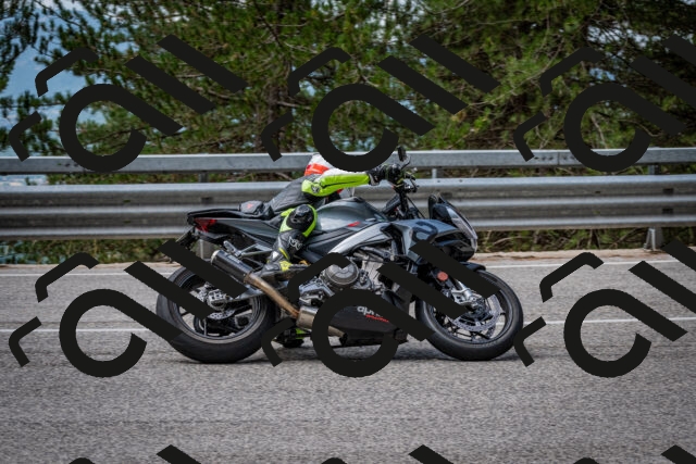 202508031135-DSC_3369_c2