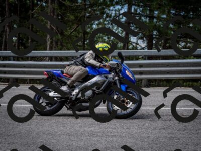 202508031135-DSC_3371_c2