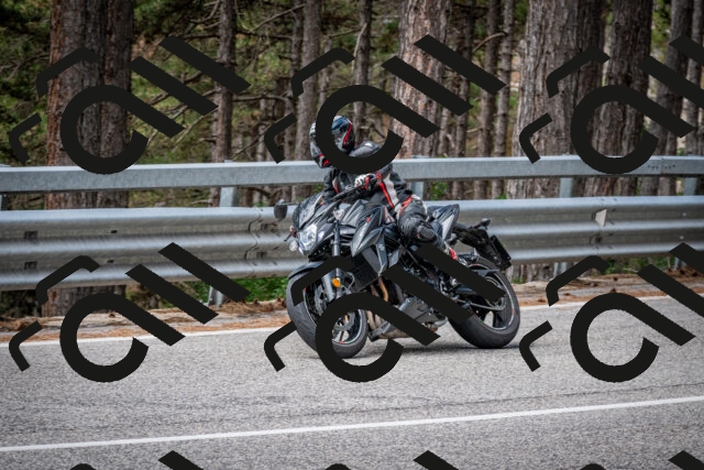 202508031135-DSC_3373-2_c2