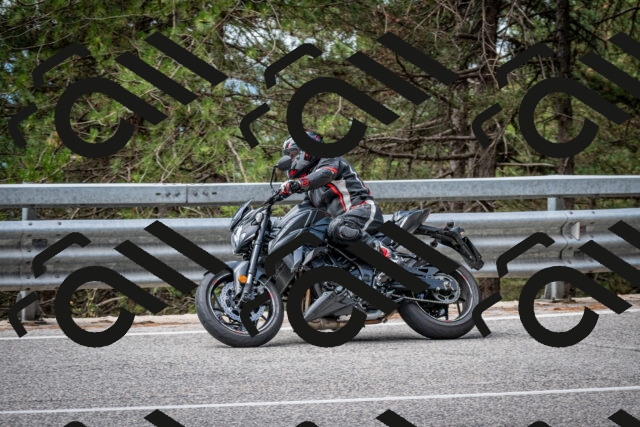 202508031135-DSC_3374_c2