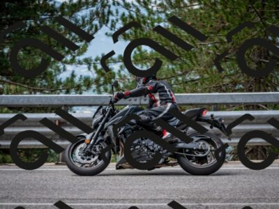 202508031135-DSC_3375_c2