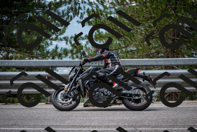 202508031135-DSC_3375_c2