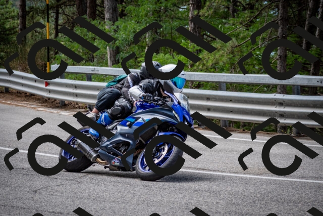 202508031135-DSC_3376_c2