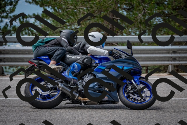 202508031135-DSC_3378_c2