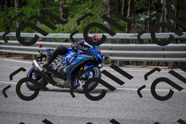 202508031135-DSC_3380_c2