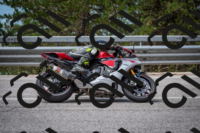 202508031135-DSC_3389_c2