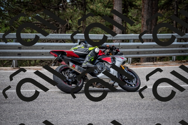 202508031135-DSC_3390-2_c2