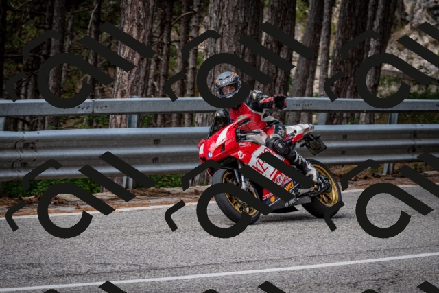 202508031136-DSC_3391_c2