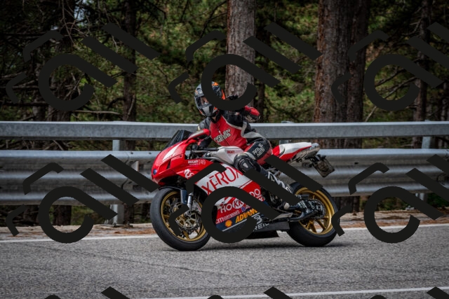 202508031136-DSC_3392_c2