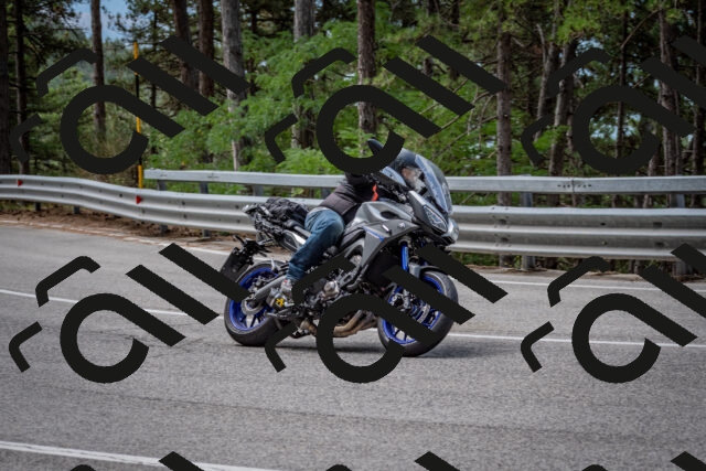 202508031136-DSC_3396_c2