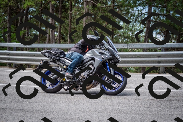 202508031136-DSC_3397_c2