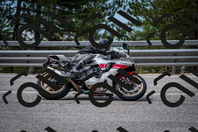 202508031136-DSC_3399-2_c2