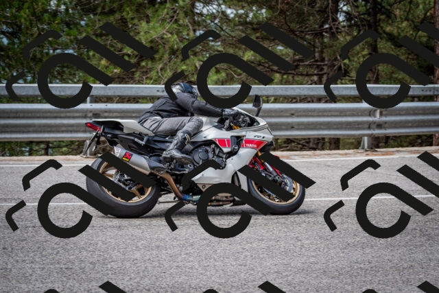 202508031136-DSC_3400_c2