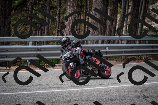 202508031136-DSC_3404_c2