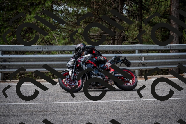 202508031136-DSC_3405_c2