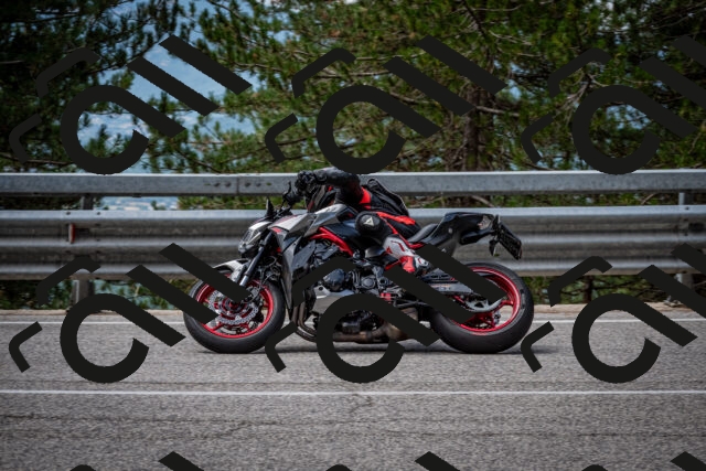 202508031136-DSC_3406_c2