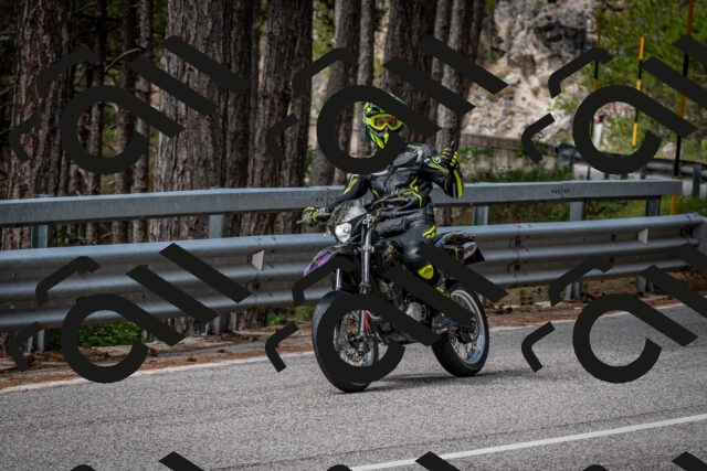 202508031137-DSC_3408_c2