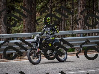 202508031137-DSC_3409_c2