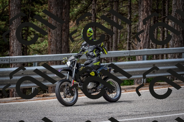 202508031137-DSC_3409_c2