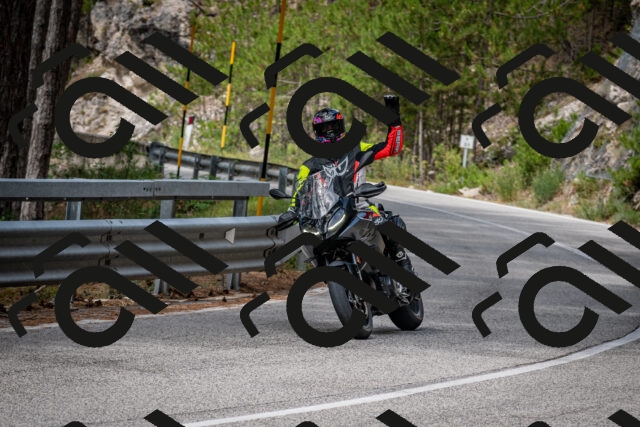 202508031138-DSC_3413-2_c2