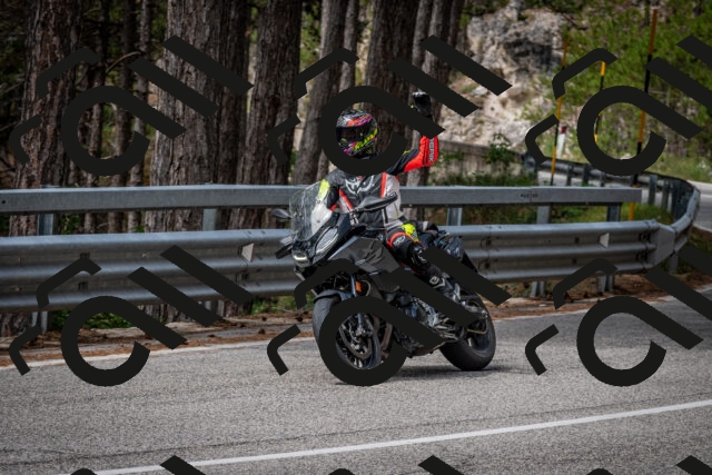 202508031138-DSC_3414_c2