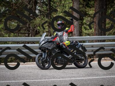 202508031138-DSC_3416_c2