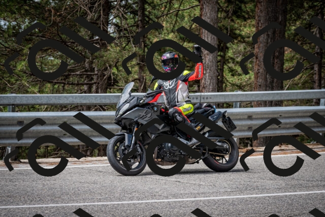 202508031138-DSC_3416_c2