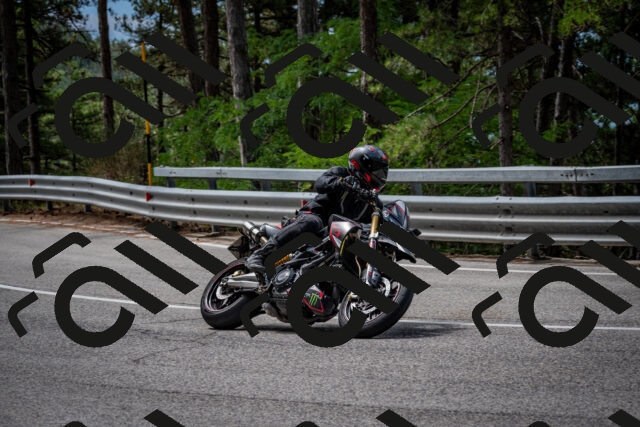 202508031139-DSC_3429-2_c2